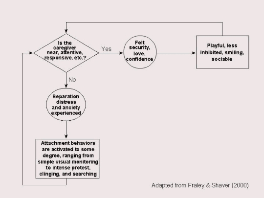 Special Feature: Attachment Theory- A Review of the Evidence